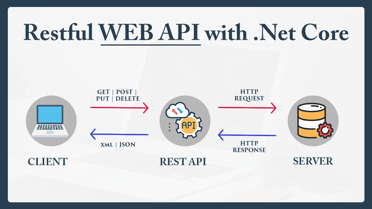 Learn Complete Restful Web API Course With ASP NET CORE With JWT Security How To Pakistan